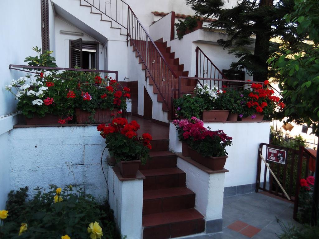 Casavacanzeinsicilia Etna Taormina Villa Piedimonte Etneo Exterior photo
