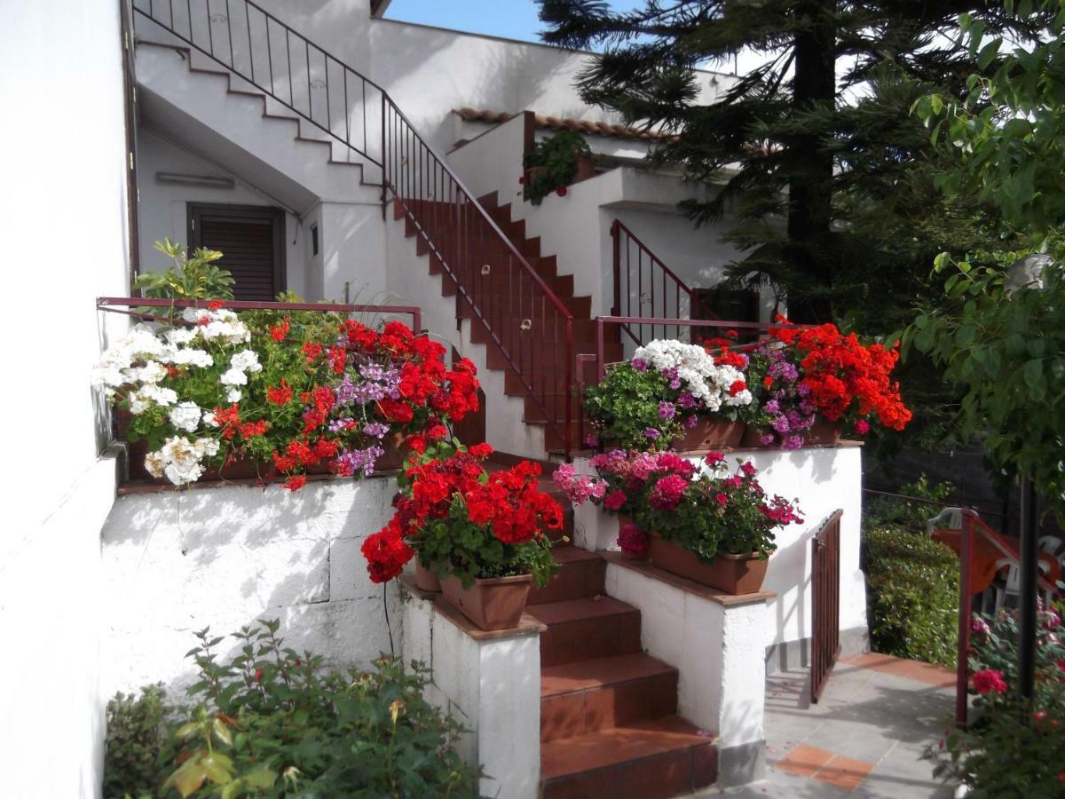 Casavacanzeinsicilia Etna Taormina Villa Piedimonte Etneo Exterior photo